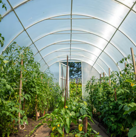 Solutions d'éclairage d'appoint agricole