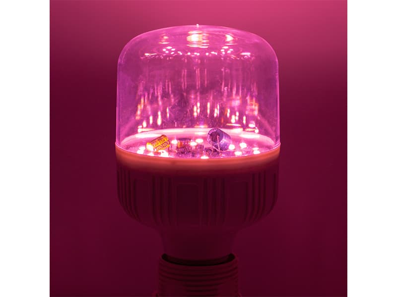 Les lampes de croissance LED peuvent-elles vraiment faire prospérer les plantes ?