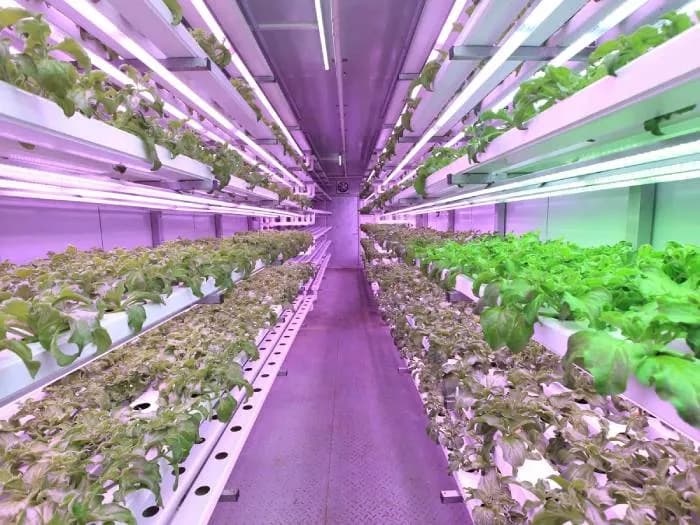 Home hydro-growing system