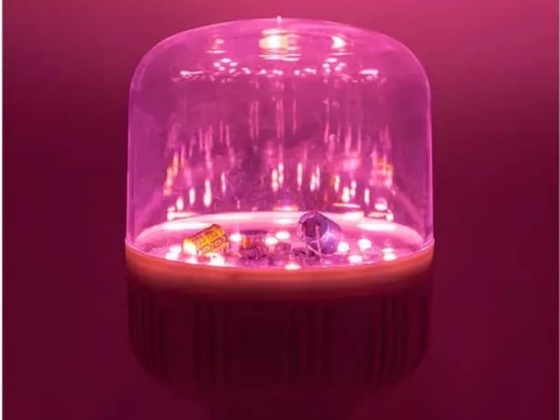 Les lampes de croissance LED peuvent-elles vraiment faire prospérer les plantes ?